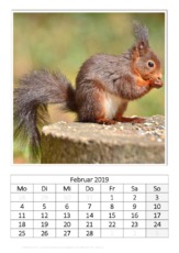 Februar_Eichhörnchen_2.pdf